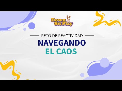 8. Navegando el Caos