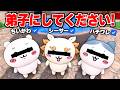 シーサーたちが弟子入りしてきた結果…【声真似】【ロブロックス】