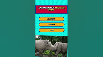 🦉 Only Geniuses Can Name These Animals! Can You? 🤯