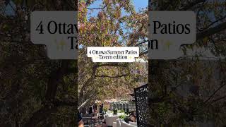 4 Ottawa Summer Patios - The Tavern Group - Dr. Mama -  Ottawa things to do