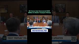 JD Vance Just Uncovered $230 Billion in Stolen Taxpayer Money