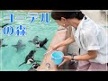 ヨーデルの森で動物とふれあい☆バードショー【ペンギン】【アザラシ】【犬】【猫】