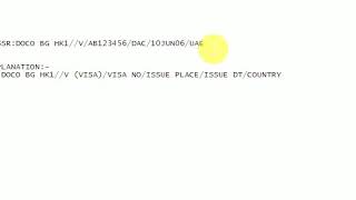 Visa Information Insert in PNR -Sabre Red