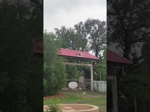 garden ka subah ka view #song#shorts #vlog