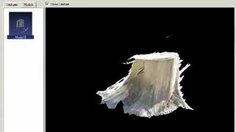 Photogrammetry of a tree stump