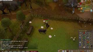 Crazy Insano Cowslayer Video
