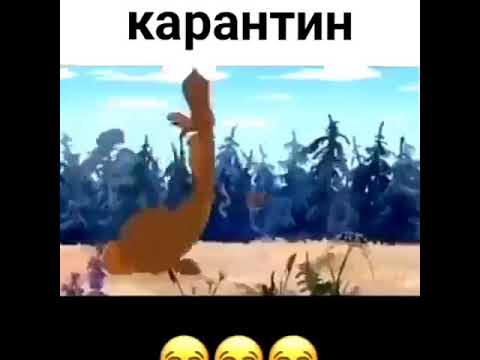 23 апреля 2020 г.