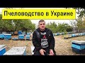 Пчеловодство в Украине Сегодня ✅ 🐝