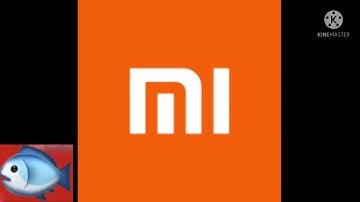 Everything has fallen into the Xiaomi logo add round 1