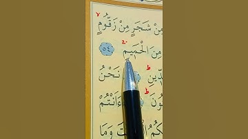 سورة الواقعة الأية 51 إلى 60 القارئ سعد الغامدي