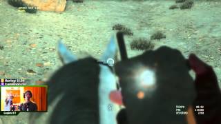 Caballo asesinado por caja voladora