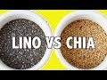 SEMILLAS DE LINO VS SEMILLAS DE CHÍA ¿CUÁL ES LA MEJOR?