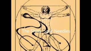 The Shins  Split Needles