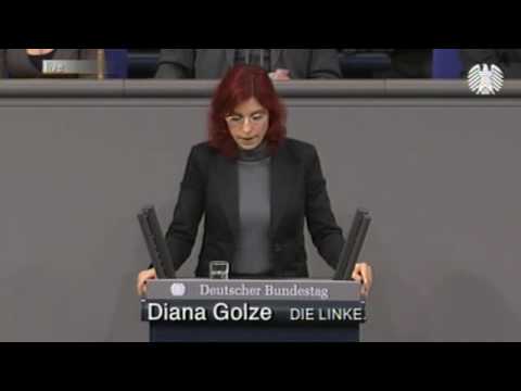 Diana Golze, DIE LINKE: Karlsruhe besttigt - Kinde...