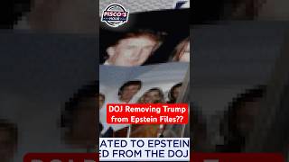 Pisco Breaks Down the Trump Epstein Coverup #debate #politics #epsteinfiles #liberal #maga #law