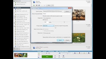 Picasa - Exporting Photos