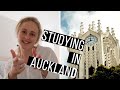 STUDYING IN AUCKLAND | Surfing and Sites