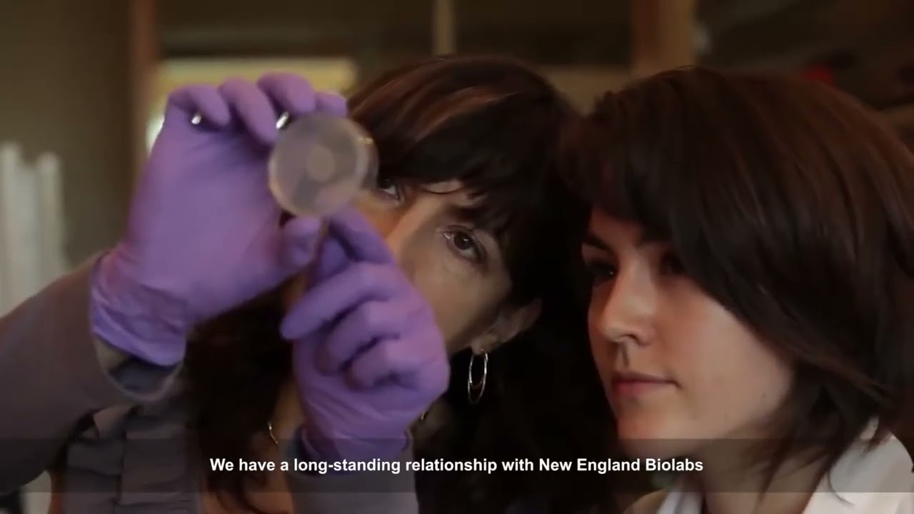 Symmetry  Purpose built cloud for SAP workloads with SUSE and HPE