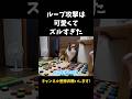 ループ攻撃は可愛くてズルすぎた【会話ボタンでしゃべる犬】 #shorts #犬