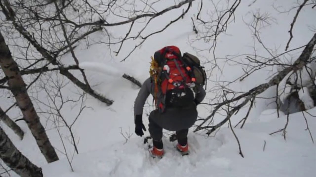 joy of walk in YouTube