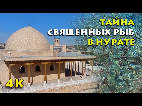 Видео: Узбекистаны Айдаркул нуур: тайлбартай зураг