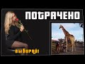 ПОТРАЧЕНО. Выбирай! Лучшие приколы 2021, смешные видео и фейлы