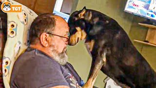When Your Dog Is King Of The House... FUNNIEST Dogs and Human Moments