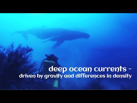 Ocean Currents