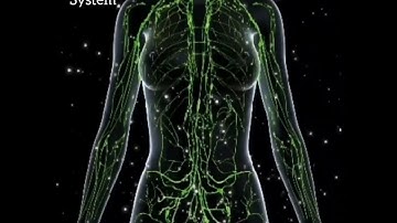 Light Language for Lymphatic System - Garz Chan