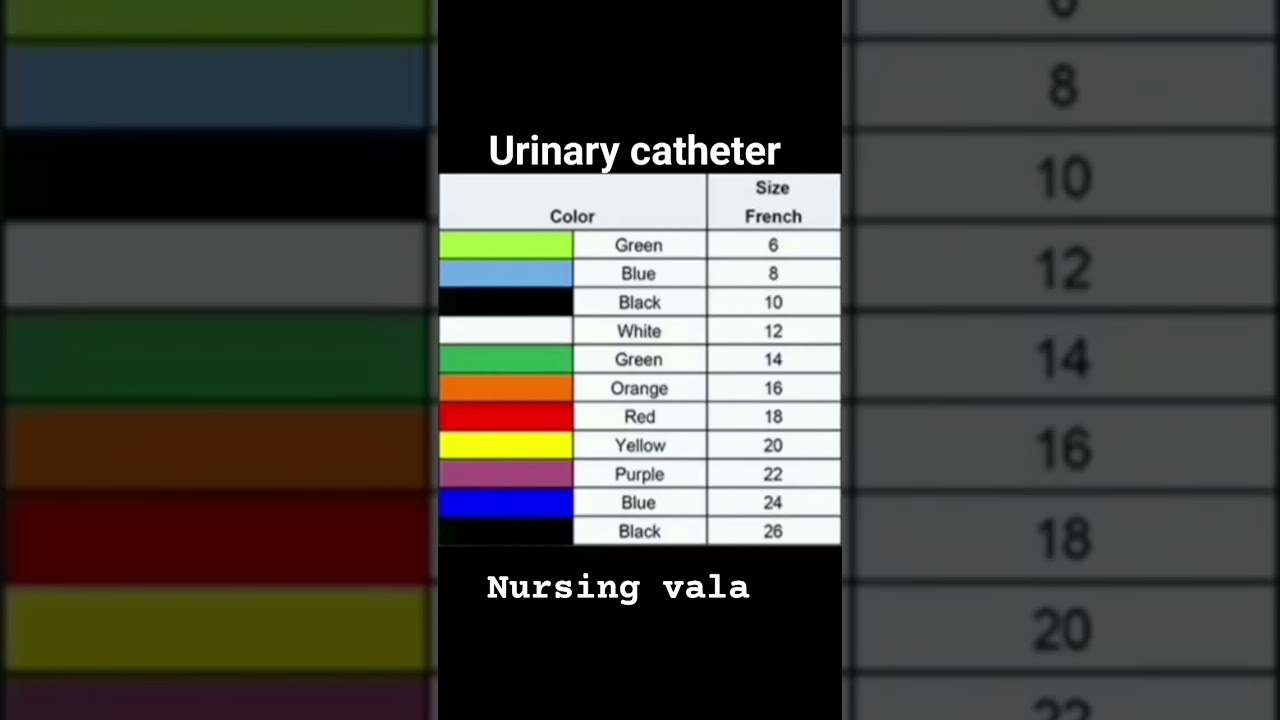 urinary catheter size and types 