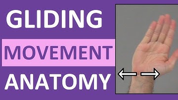 Gliding Movement of Joint | Anatomy Body Movement Terms | Body Planes of Motion