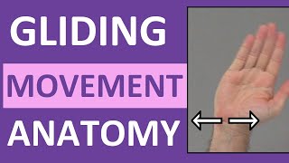 Gliding Movement of Joint | Anatomy Body Movement Terms | Body Planes of Motion