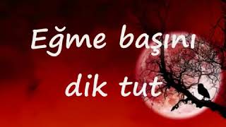 duşme şiri