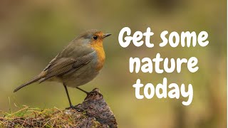 DAILY MOTIVATOR - Nature in Spring + Two Original Spring Poems