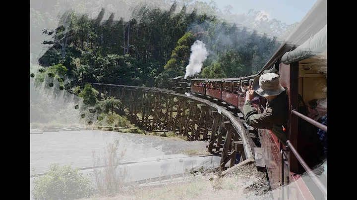 Top 16 Things to do in the Dandenong Ranges | Mt. ...