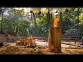 The Giant Bushmoot Log Rocket