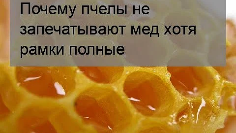 Почему пчелы не запечатывают мед хотя рамки полные