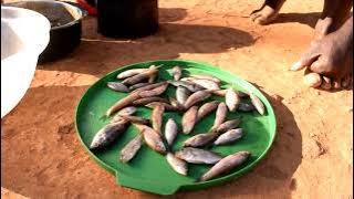 How to Catch Matemba (Fish)