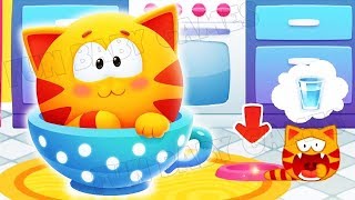 MewSim Pet Cat Fun and Absorbing Pet Simulator Kids Games Learning Educational Game for Kids #1 screenshot 3