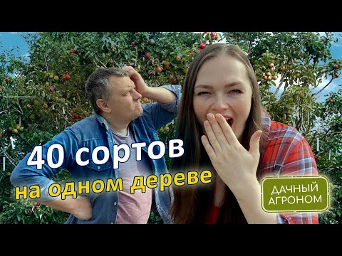 Бесплатный вебинар: ДЕРЕВО-САД