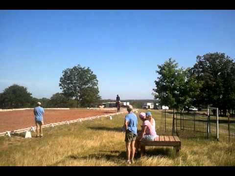 Den and Boomer Dressage. 6/25/11