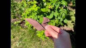 How to make an origami squirrel