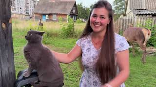 видео: Олень Борис прийшов на вечерю24.07.25 21:00 #irysik3076 #deer #animals #олень #оленьборис #оленьборя картинка: Олень Борис прийшов на вечерю24.07.25 21:00 #irysik3076 #deer #animals #олень #оленьборис #оленьборя