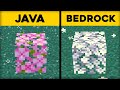 50 Java VS Bedrock Things in Minecraft