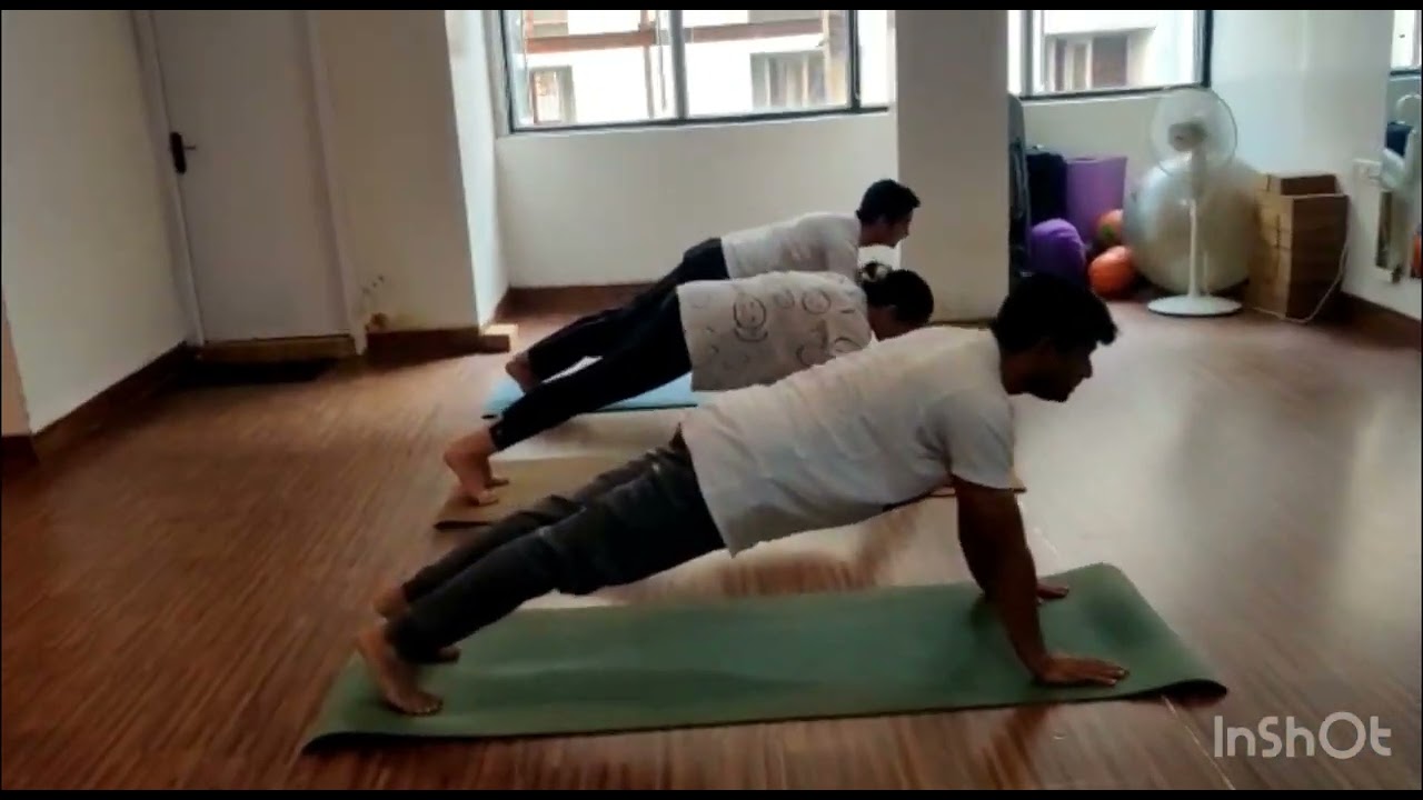 LOW PLANK TO HIGH PLANK TRANSITION HOW TO VIDEO STABILIZE YOUR CORE TODAY