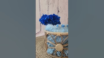 Madras Prop Store Shorts | Baby Photography Styling Tutorial 240 #newbornphotography #blue #baby