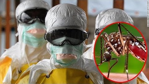 AI and big data joins effort to predict deadly disease outbreaks