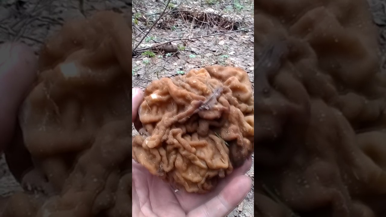 Ждём новый сезон)