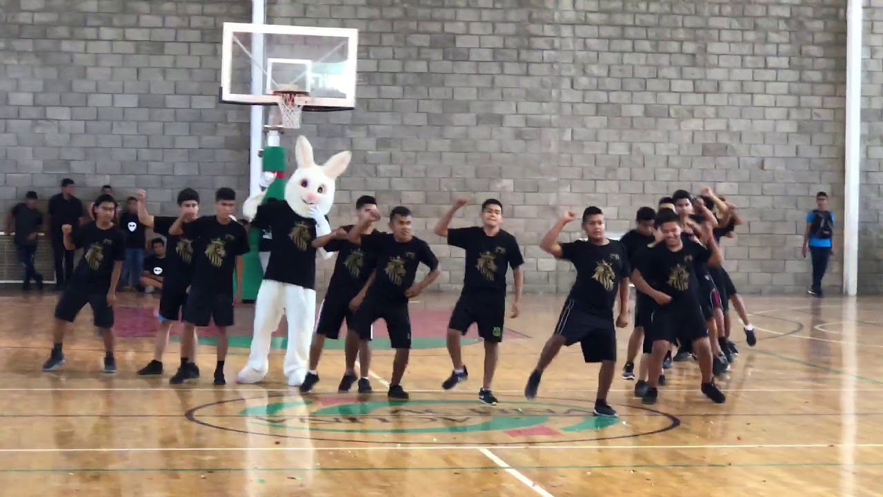 Tablas Rítmicas 3*B 2018 YouTube