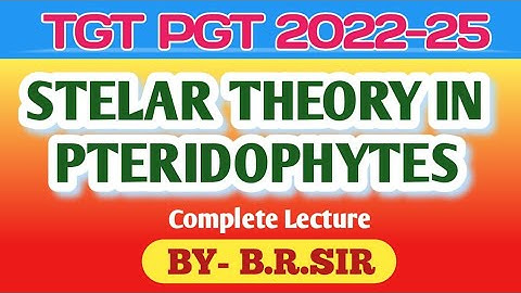 Stelar theory in Pteridophyta || Stelar system one shot || TGT PGT Biology online class